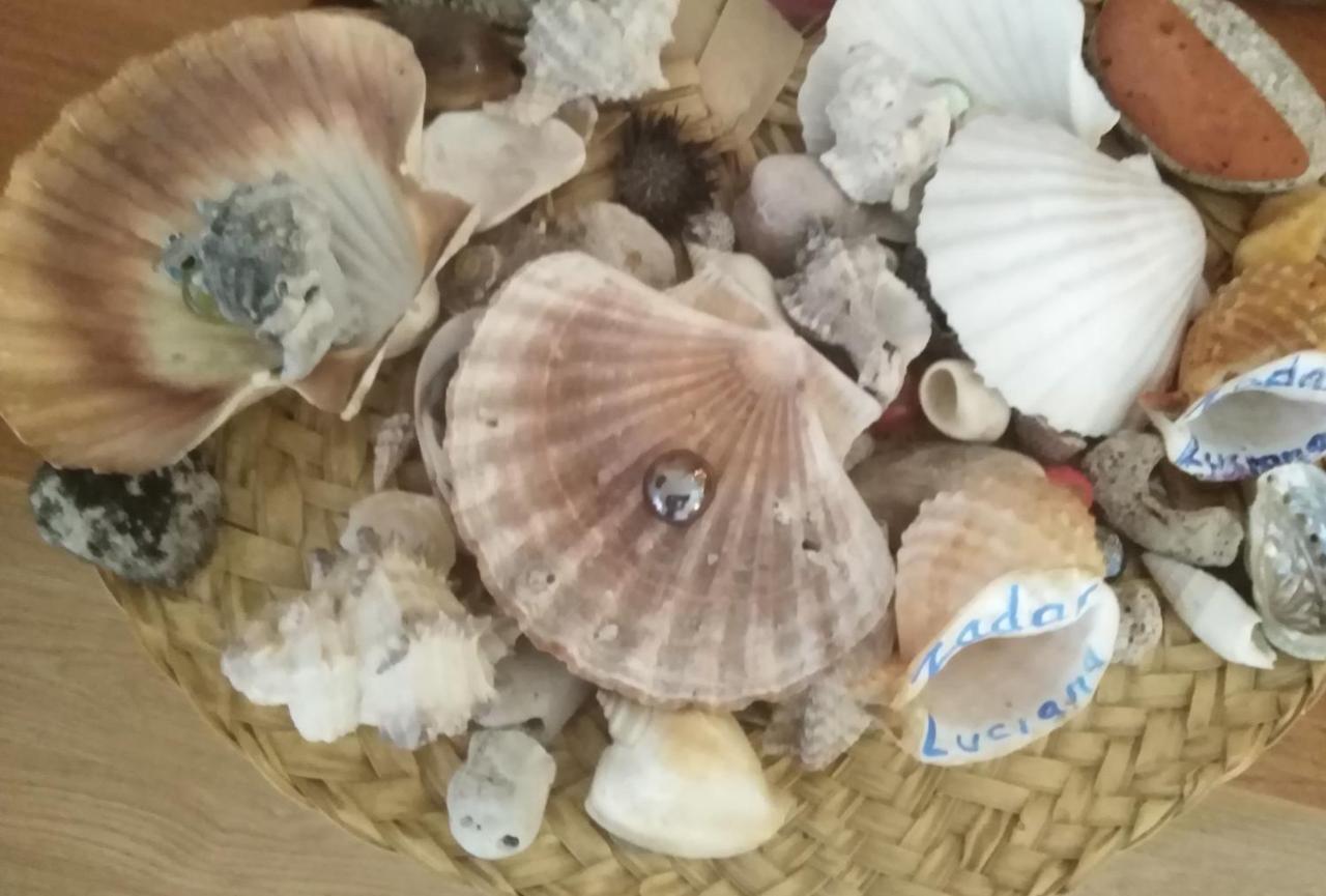 扎达尔Luciana公寓 外观 照片