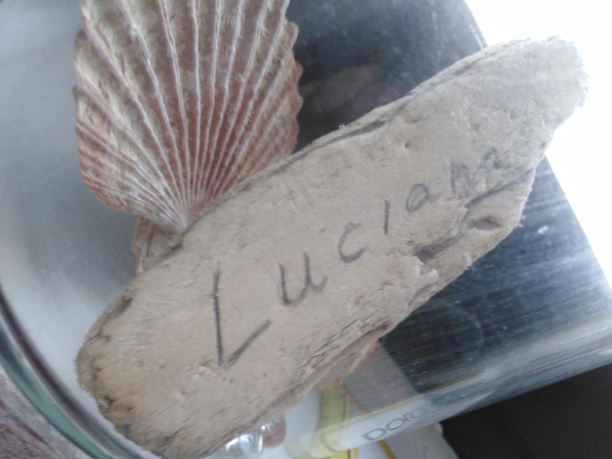 扎达尔Luciana公寓 外观 照片